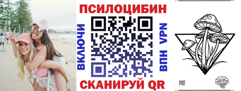 Галлюциногенные грибы Psilocybine cubensis Сальск