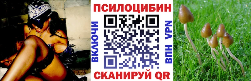 магазин    Сальск  Галлюциногенные грибы MAGIC MUSHROOMS 